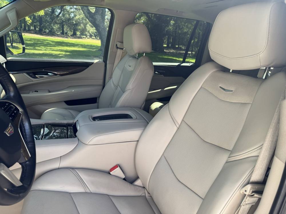 2019 Cadillac Escalade ESV — photo 14 of 41