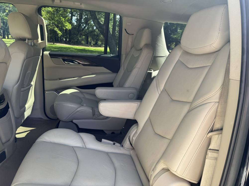 2019 Cadillac Escalade ESV — photo 16 of 41