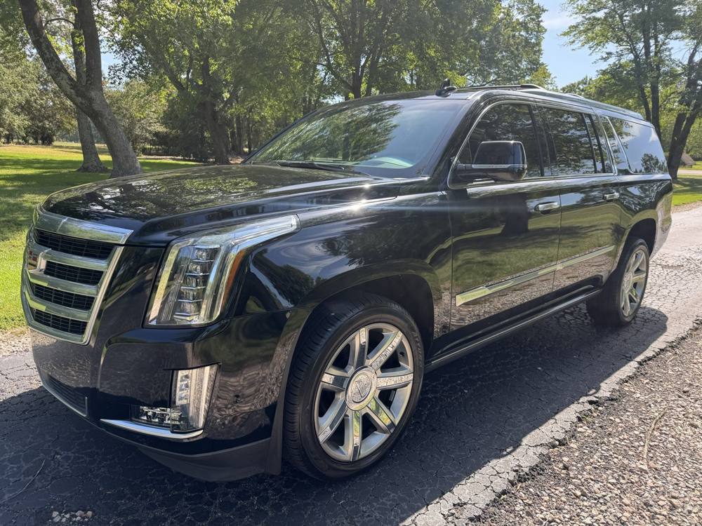 2019 Cadillac Escalade ESV — photo 2 of 41
