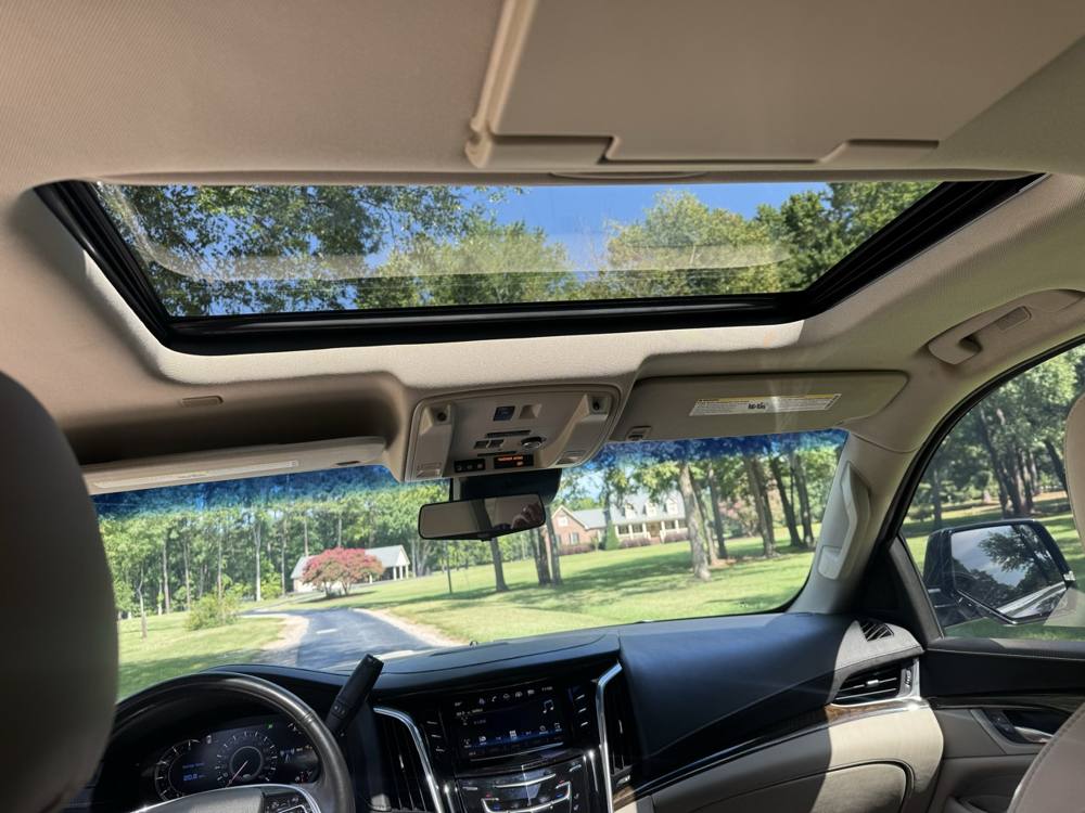 2019 Cadillac Escalade ESV — photo 22 of 41