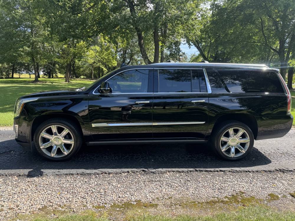 2019 Cadillac Escalade ESV — photo 3 of 41