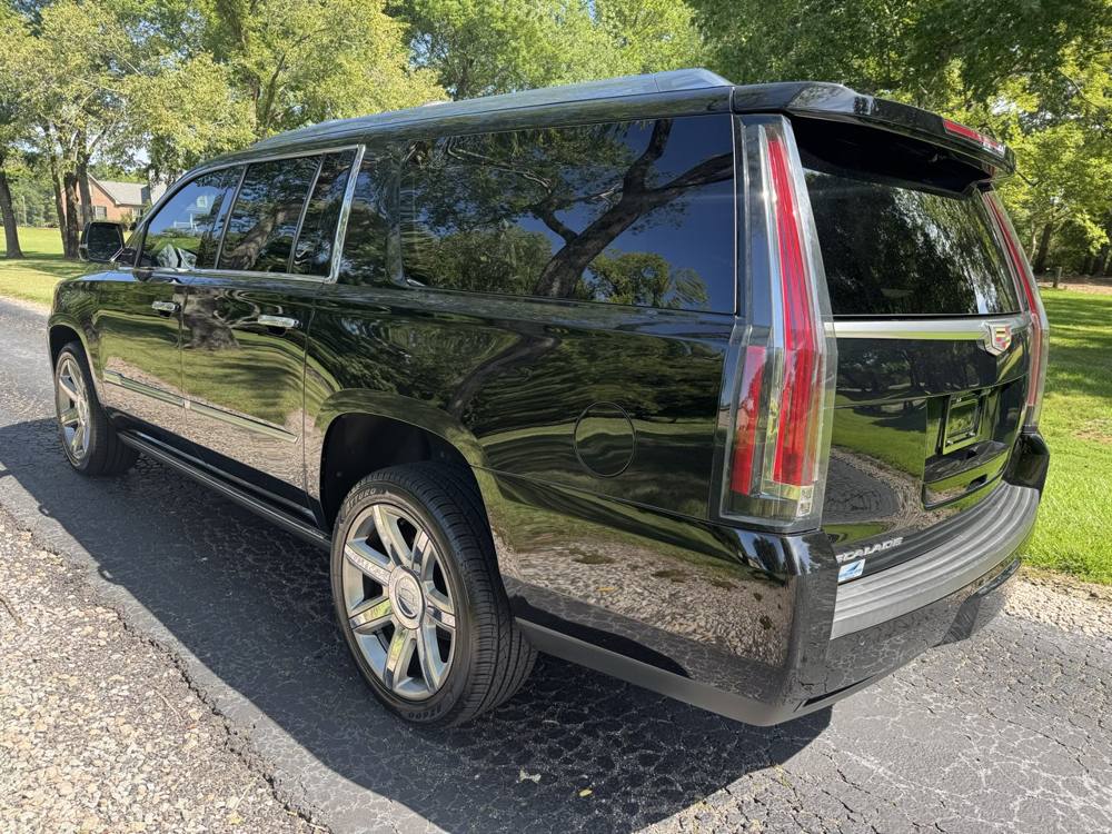 2019 Cadillac Escalade ESV — photo 4 of 41