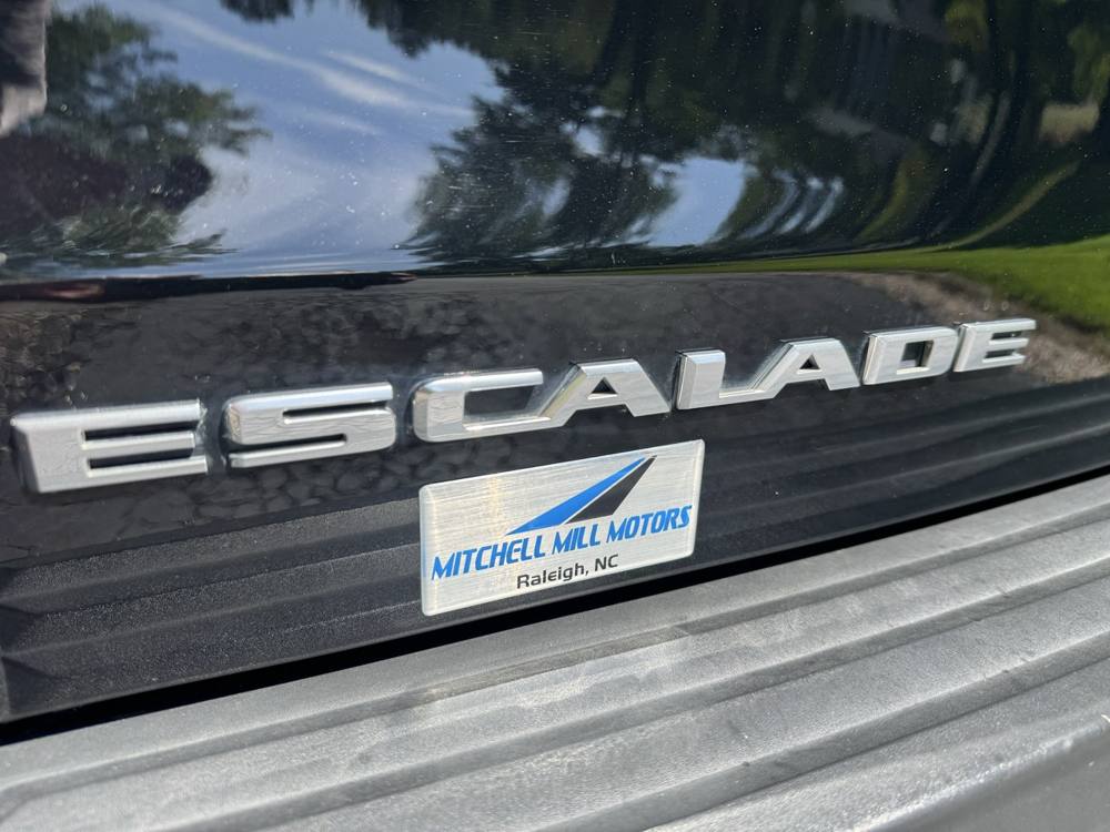 2019 Cadillac Escalade ESV — photo 41 of 41