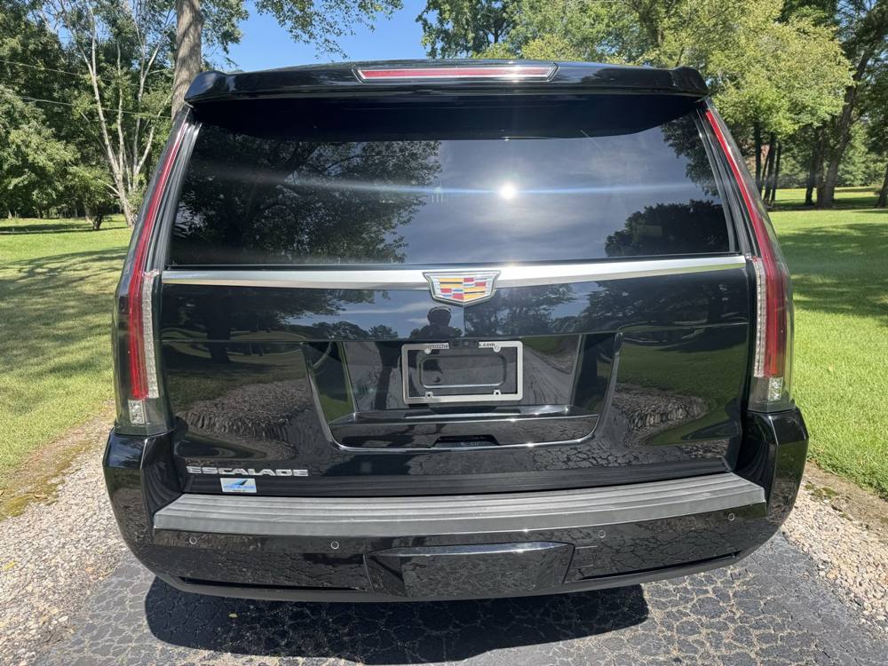 2019 Cadillac Escalade ESV — photo 5 of 41