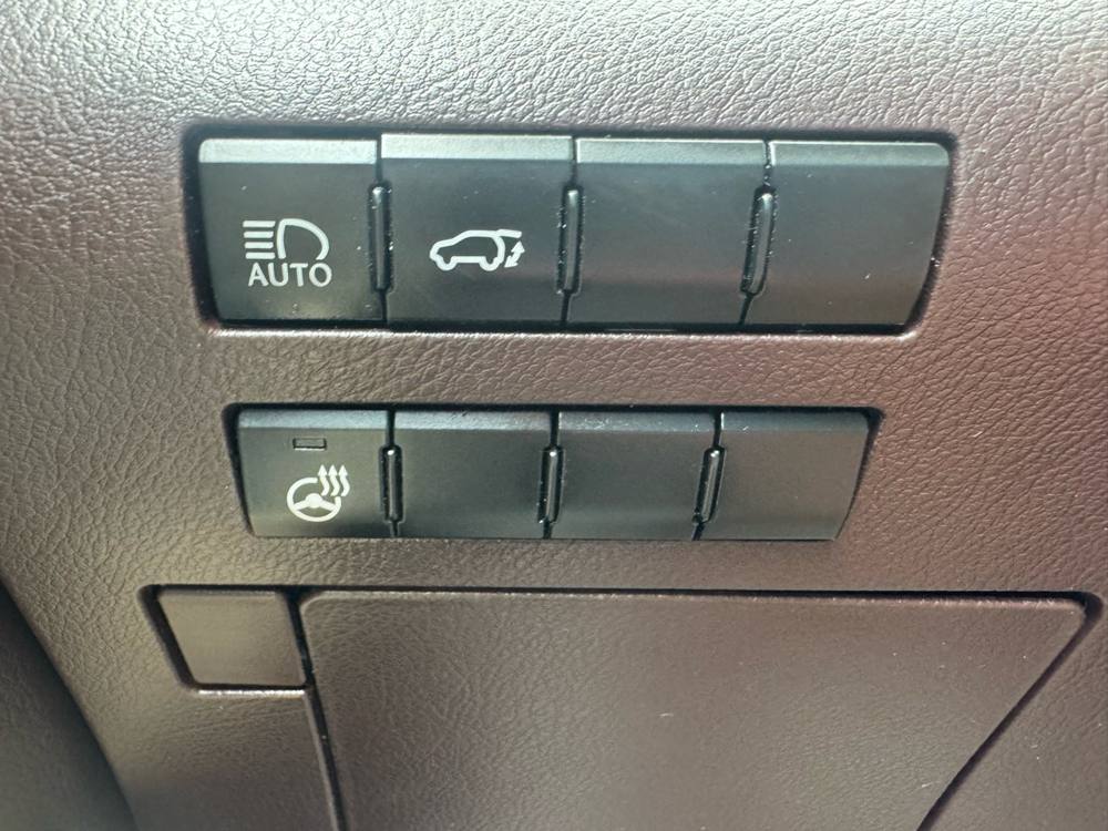 2020 Lexus RX — photo 31 of 45