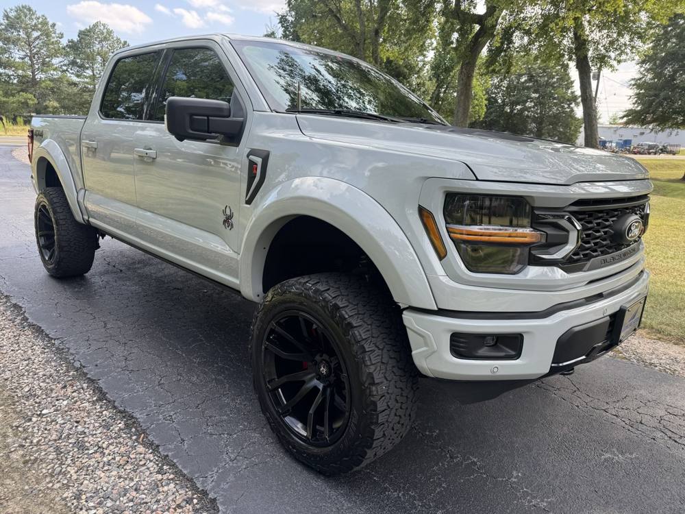 2024 Ford F-150 — photo 13 of 50