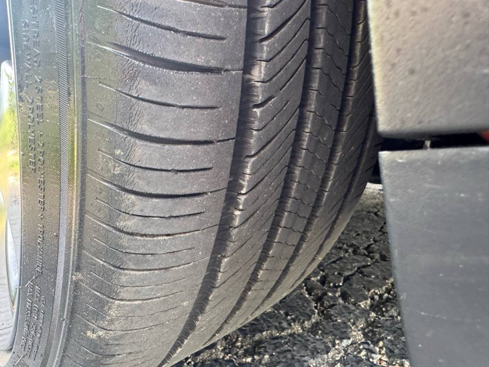 2024 Tesla Model Y — photo 12 of 27
