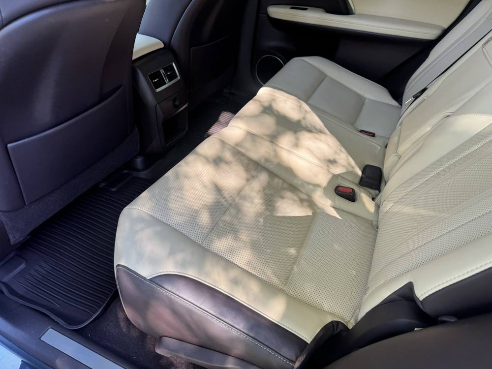 2019 Lexus RX — photo 17 of 41
