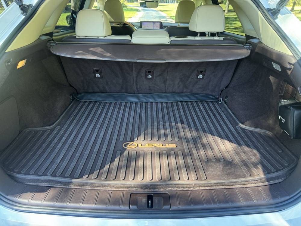 2019 Lexus RX — photo 18 of 41