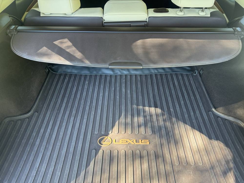 2019 Lexus RX — photo 20 of 41