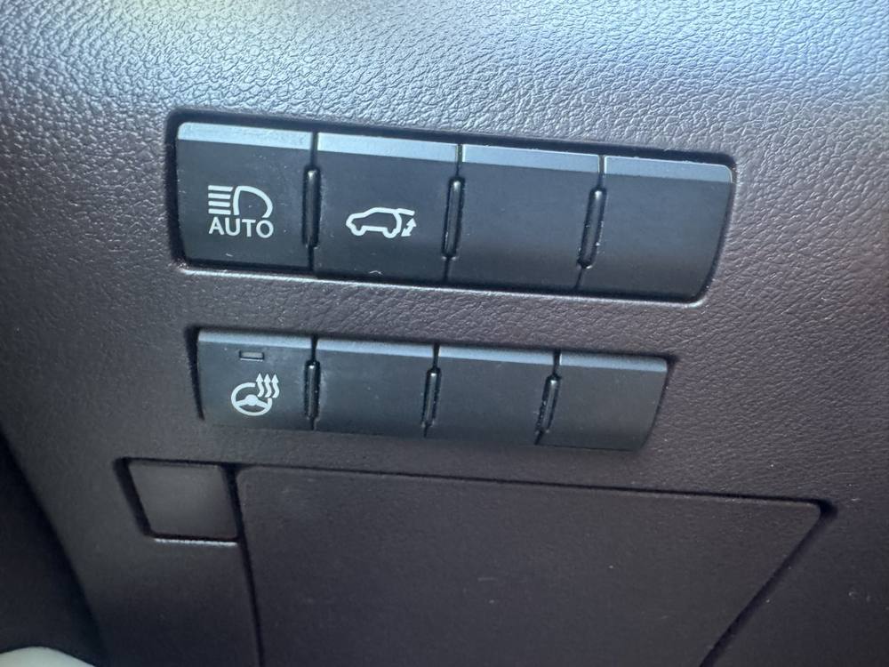2019 Lexus RX — photo 30 of 41
