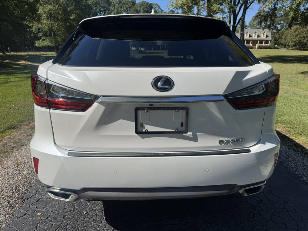 2019 Lexus RX — photo 5 of 41