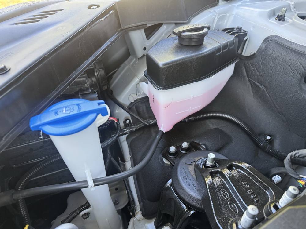 2024 Kia Telluride — photo 46 of 47